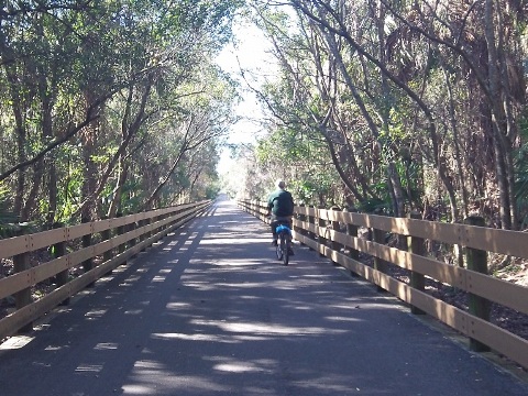 Shaded bike path